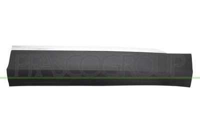 ZIER-/SCHUTZLEISTE TüR