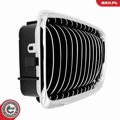 GRILA RADIATOR ESEN SKV 66SKV215 6