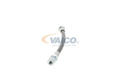 FURTUN FRANA VAICO V404107 24