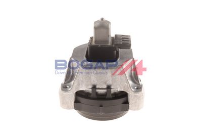 BOGAP Variklio montavimas