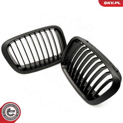 GRILA RADIATOR ESEN SKV 66SKV062 3