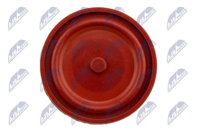 CAPAC CULBUTOR NTY BPZCT005 3