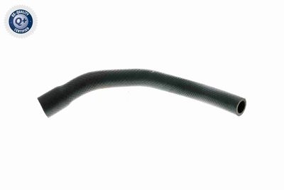 FURTUN RADIATOR VAICO V201649 1