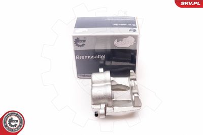 Brake Caliper 23SKV901