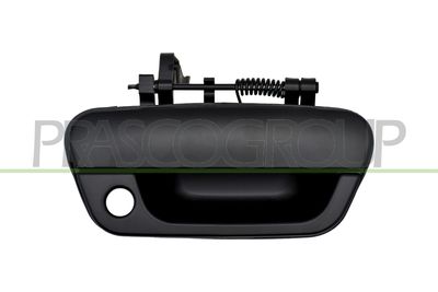 TüRGRIFF PRASCO DW3408001