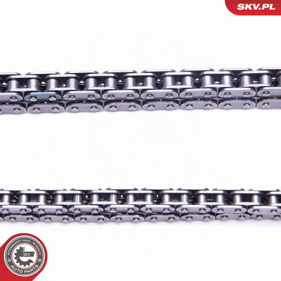 CHIT LANT DE DISTRIBUTIE ESEN SKV 21SKV188 2