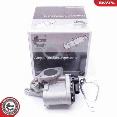 SUPAPA EGR ESEN SKV 14SKV168