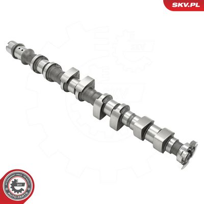 Vačkový hřídel ESEN SKV 80SKV052