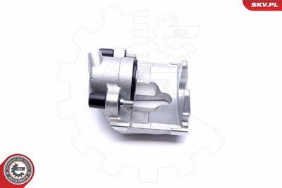 Brake Caliper 46SKV352