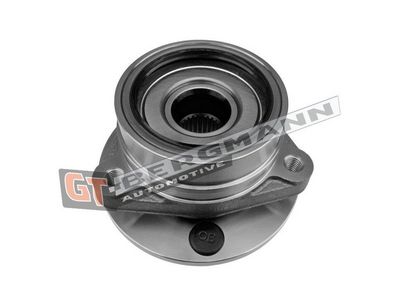 GT-BERGMANN Automotive Rato guolio komplektas