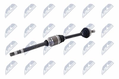 PLANETARA NTY NPWCT181 2