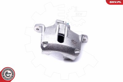 Brake Caliper 46SKV531