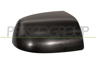 ACOPERIRE OGLINDA EXTERIOARA