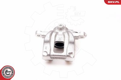 Brake Caliper 34SKV014