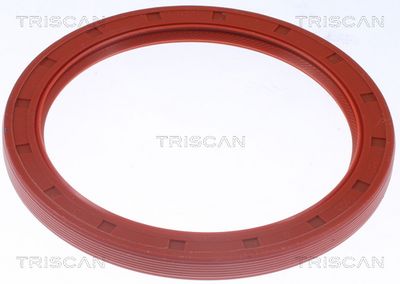 SIMERING ARBORE COTIT TRISCAN 855010090 1