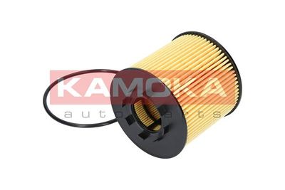 Oil Filter F105701