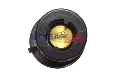 TERMOSTAT RACIRE ULEI