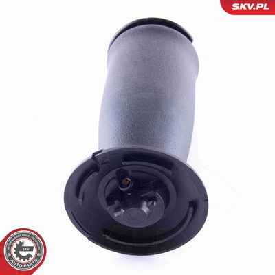 ARC PNEUMATIC DIRECTIE ESEN SKV 58SKV021 1