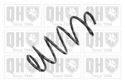 QUINTON HAZELL QCS7669 Пружина подвески  для SEAT IBIZA (Сеат Ибиза)