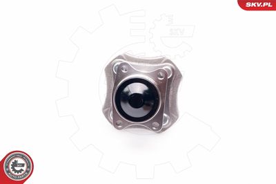 Wheel Bearing Kit 29SKV063