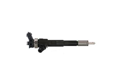 INJECTOR REMANTE 002003001494R 44