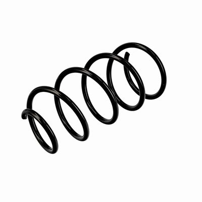 ARC SPIRAL EIBACH R10404 4