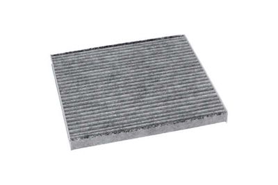 FILTRU AER HABITACLU AMC Filter FCA10056C 21