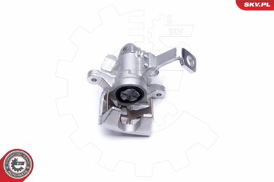 Brake Caliper 50SKV403