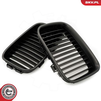 GRILA RADIATOR ESEN SKV 66SKV046 1