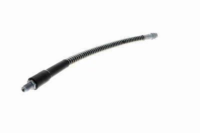 FURTUN FRANA VAICO V464113 8