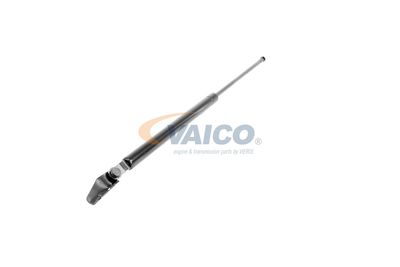 GASFEDER KOFFER-/LADERAUM VAICO V320074 53