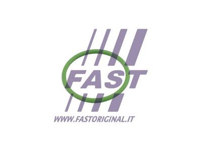 FAST FT48803 Прокладка турбіни 