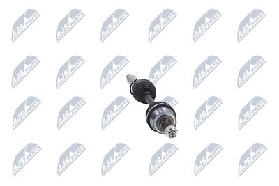 PLANETARA NTY NPWBM131 15