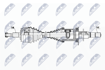 NPW-WW-255