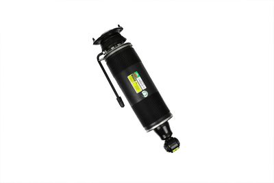 LUFTFEDERBEIN Arnott SK2485 68