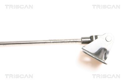 AMORTIZOR PORTBAGAJ TRISCAN 871069207 2