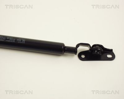 AMORTIZOR PORTBAGAJ TRISCAN 871013222 1