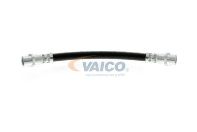 FURTUN FRANA VAICO V104136 11