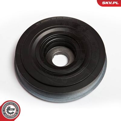 FULIE CUREA ARBORE COTIT ESEN SKV 95SKV305 2