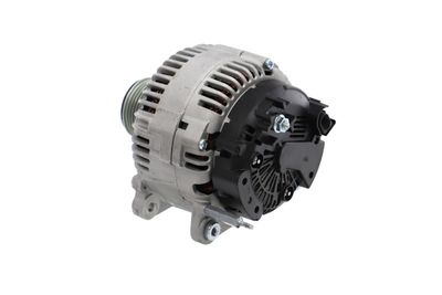 GENERATOR / ALTERNATOR REMANTE 011003000030R 19