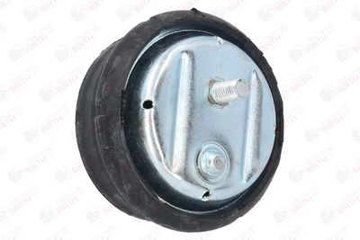 SUPORT MOTOR BIRTH 50121 1