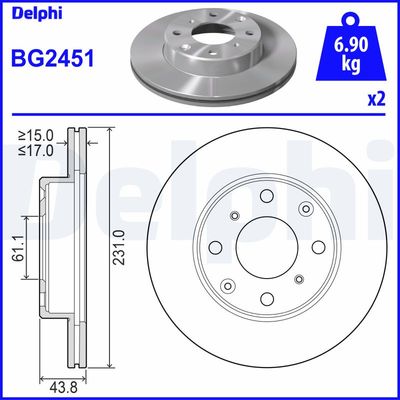 DELPHI Remschijf (BG2451)