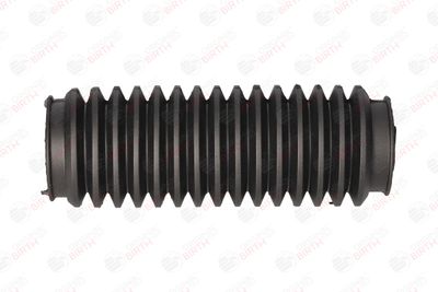 BURDUF CAUCIUC DIRECTIE BIRTH 7243 1