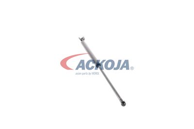 AMORTIZOR PORTBAGAJ ACKOJA A320075 23