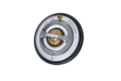 TERMOSTAT LICHID RACIRE NRF 725105 10