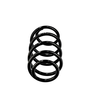 ARC SPIRAL EIBACH R10769 13