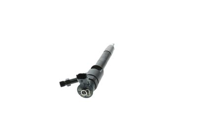 INJECTOR BOSCH 0445110250 11