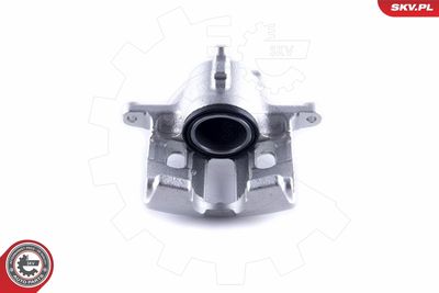 Brake Caliper 46SKV462