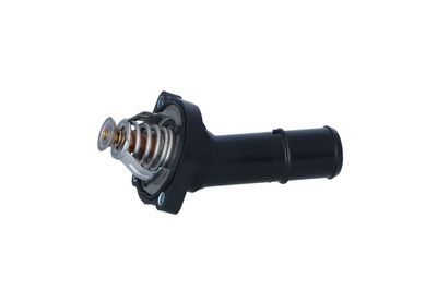 TERMOSTAT LICHID RACIRE NRF 725202 45