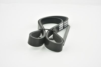 CUREA TRANSMISIE CU CANELURI FEBEST 881286L1113 41